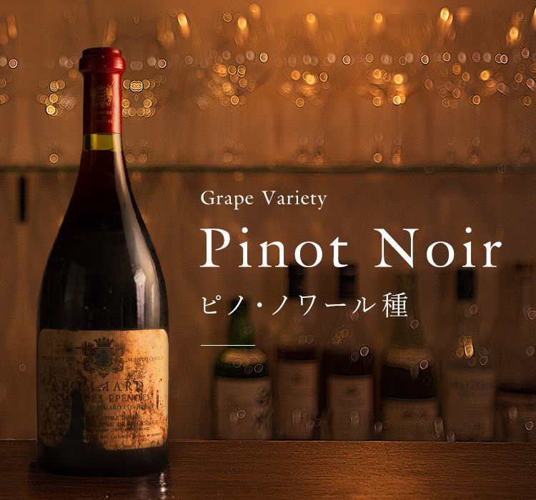 Pinot Noir